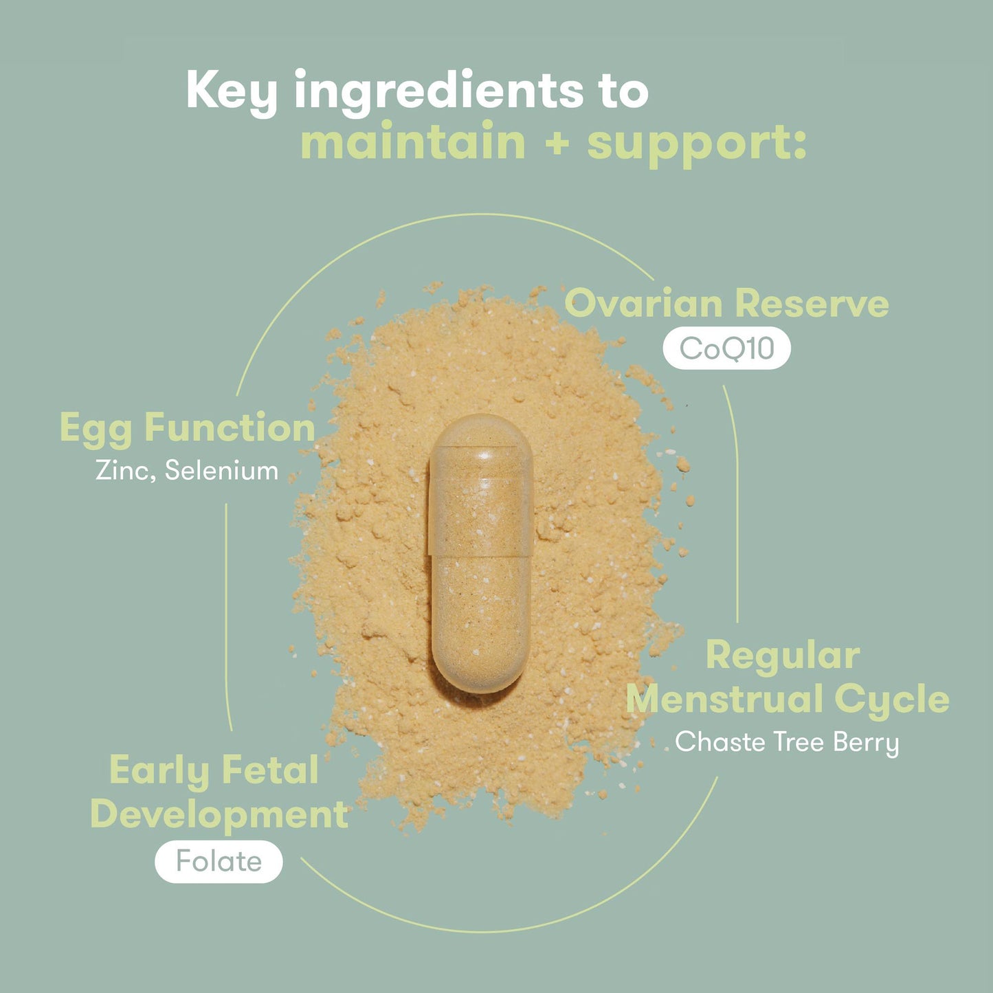 Frida Fertility Pre-Conception Supplement