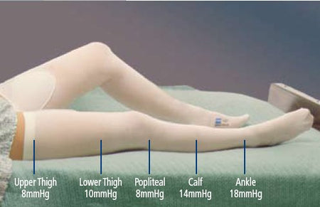 Cardinal 7470LF T.E.D. Knee High Anti-embolism Stockings, 2X-Large / Regular