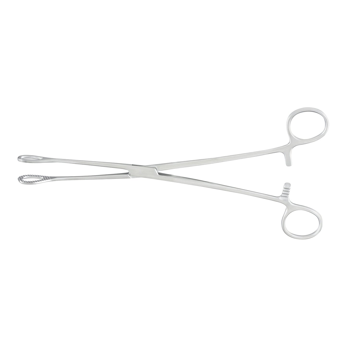 McKesson Argent™ Sponge Forceps