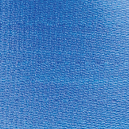 SkiL-Care™ PathoShield Gait Belt, Blue, 60 Inch