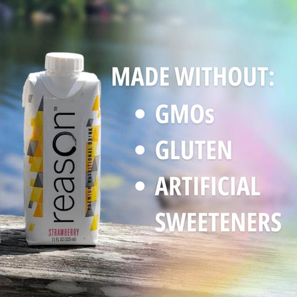 Reason™ Chocolate Premium Nutritional Drink, 11-ounce carton
