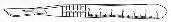 Bard-Parker® Disposable Scalpel, Size 11