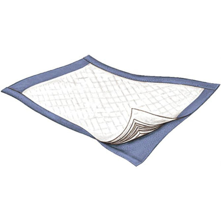 Griffin Care 3834 Passport Underpad, 22 x 35 Inch