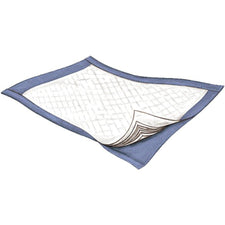 Passport™ Underpad, 22 x 35 Inch