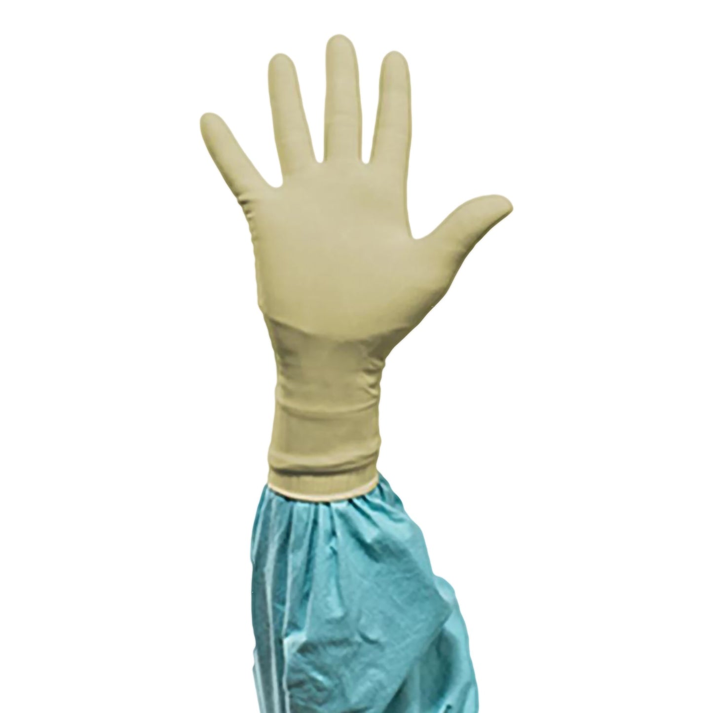 Biogel® PI Polyisoprene Surgical Glove, Size 6.5, Straw Color