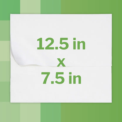 McKesson Flushable* Wet Wipes XL - Unscented, 48 Wipes per Pack