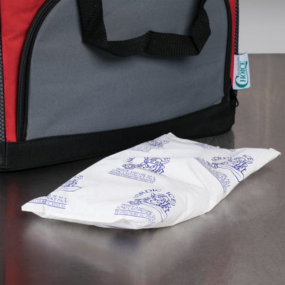 Refrigerant Gel Pack Nordic Ice® For Safe Transport of Food, Pharmaceuticals and Medical Products