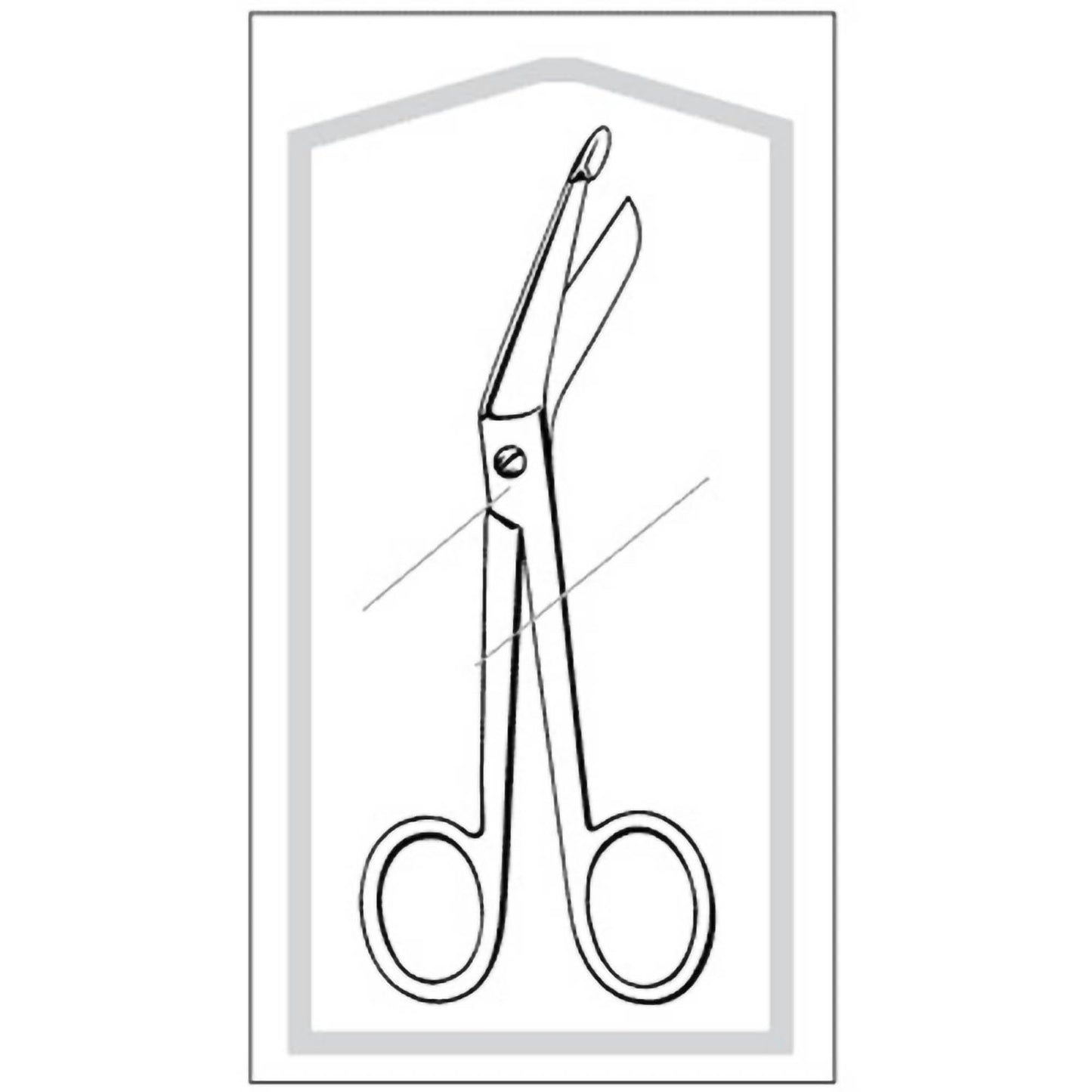 Econo™ Bandage Scissors