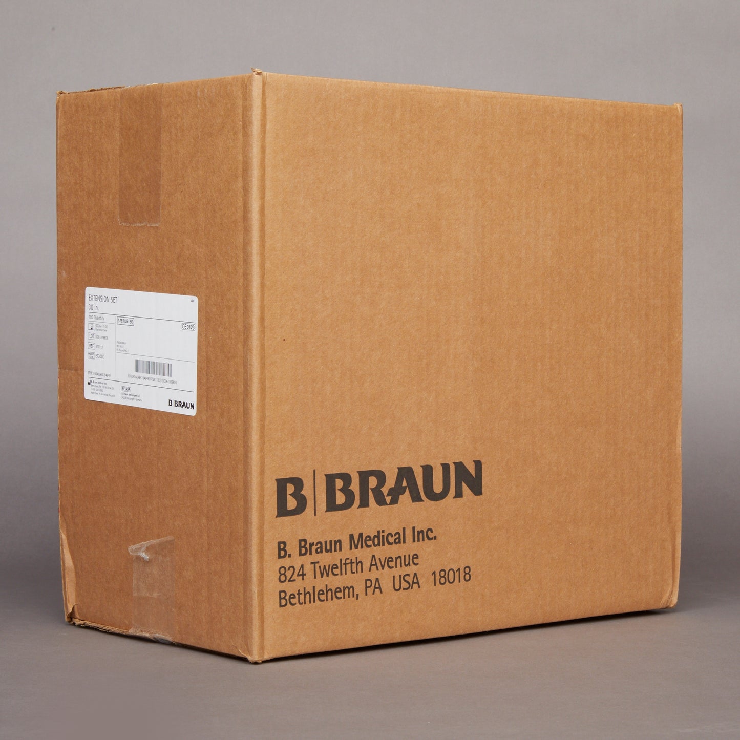 B. Braun Standard Bore Extension Set