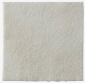 Biatain® Alginate Dressing, 1 x 17½ Inch