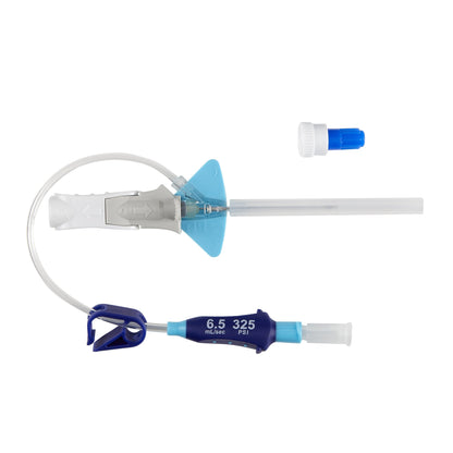 Nexiva™ Diffusics™ Closed IV Catheter