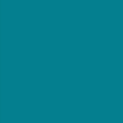 3M Littmann Lightweight II S.E. Stethoscope, Caribbean Blue, 28 Inch