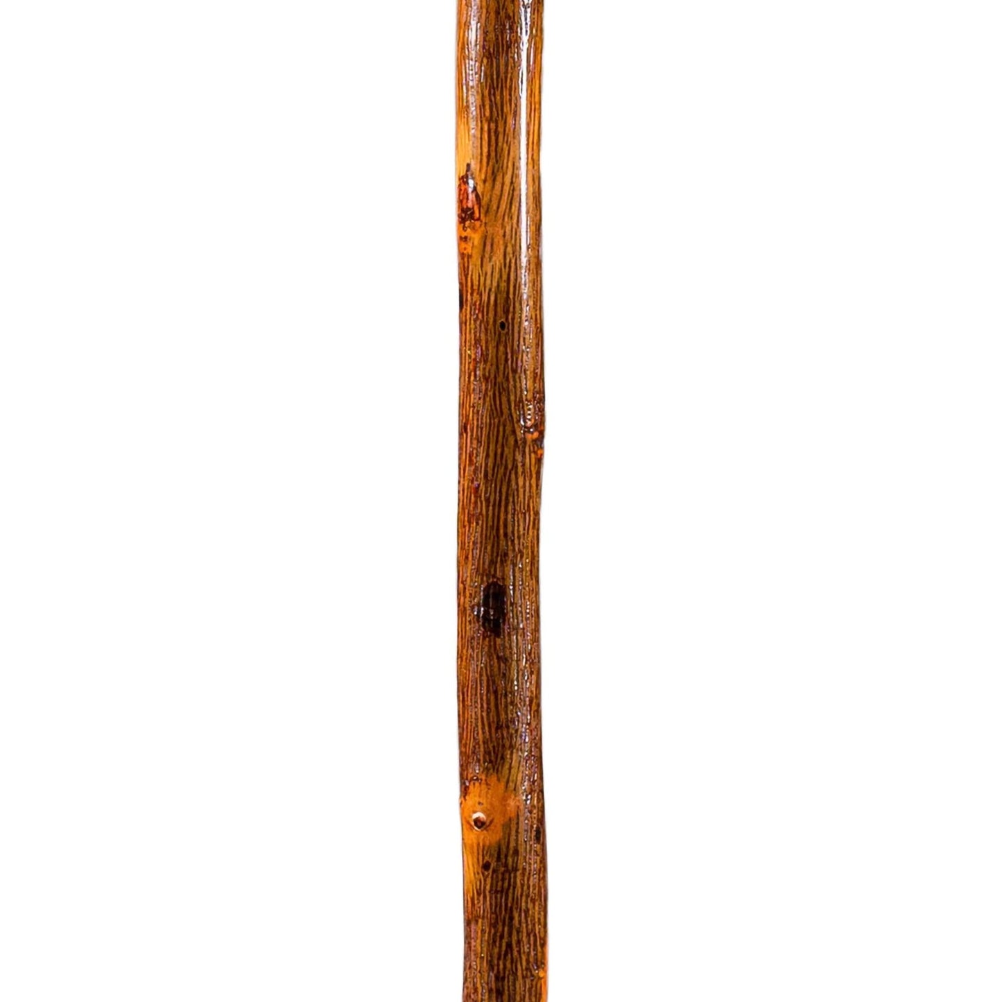 Brazos™ Free Form Safari Walking Stick, 55-Inch Height