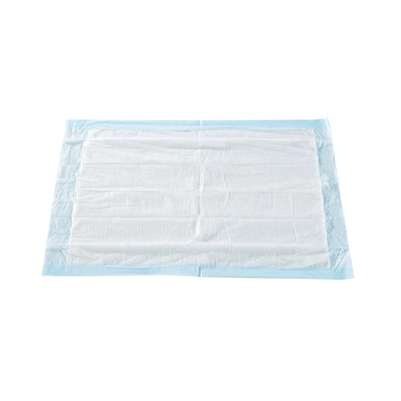 McKesson Classic Plus Light Absorbency Underpads, 17 x 24 Inch by McKesson Brand product image