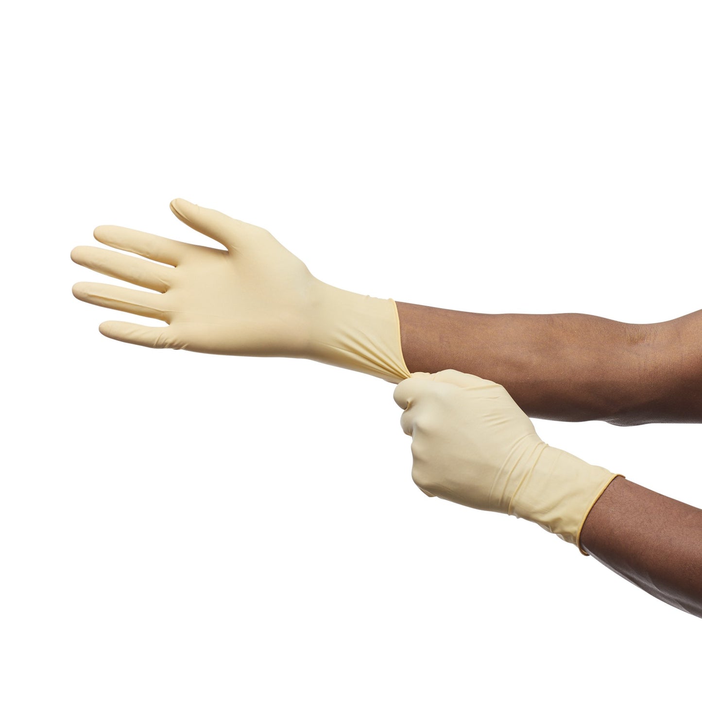 Cardinal 2D73DP80 Protexis™ Polychloroprene Surgical Glove, Size 8, Ivory