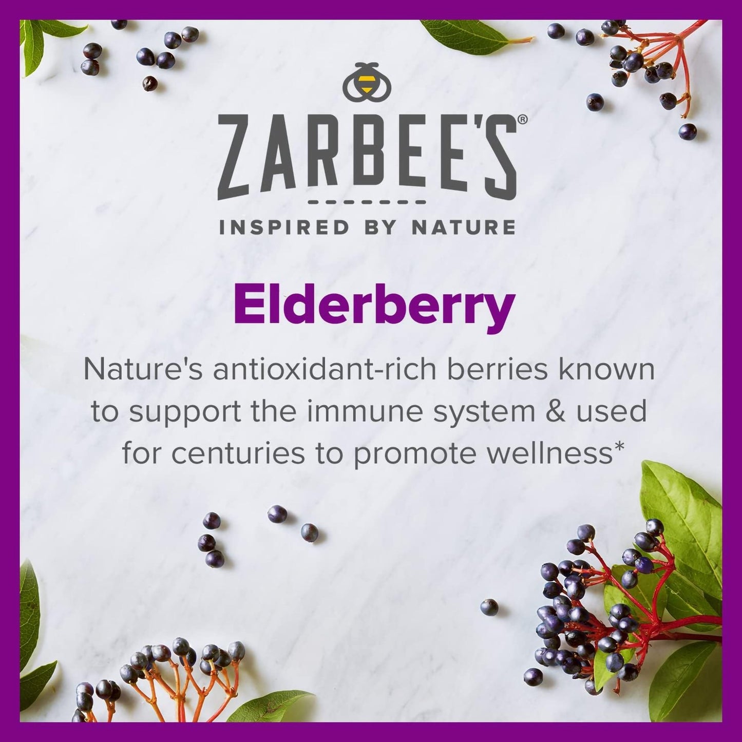 Zarbee's Naturals Black Elderberry Immune Support Syrup