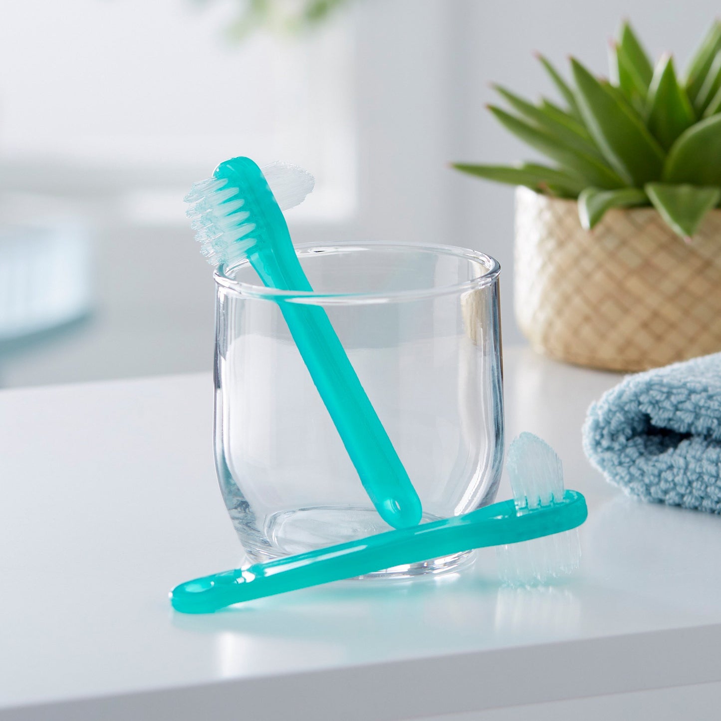 McKesson Denture Brush