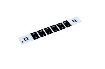 Compass Health Brands 70032 Single Patient Skin Thermometer Temp*Qwik Digital Line Indicator Display
