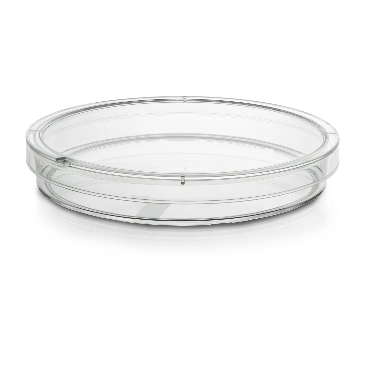 McKesson Petri Dish, 100 x 15 mm