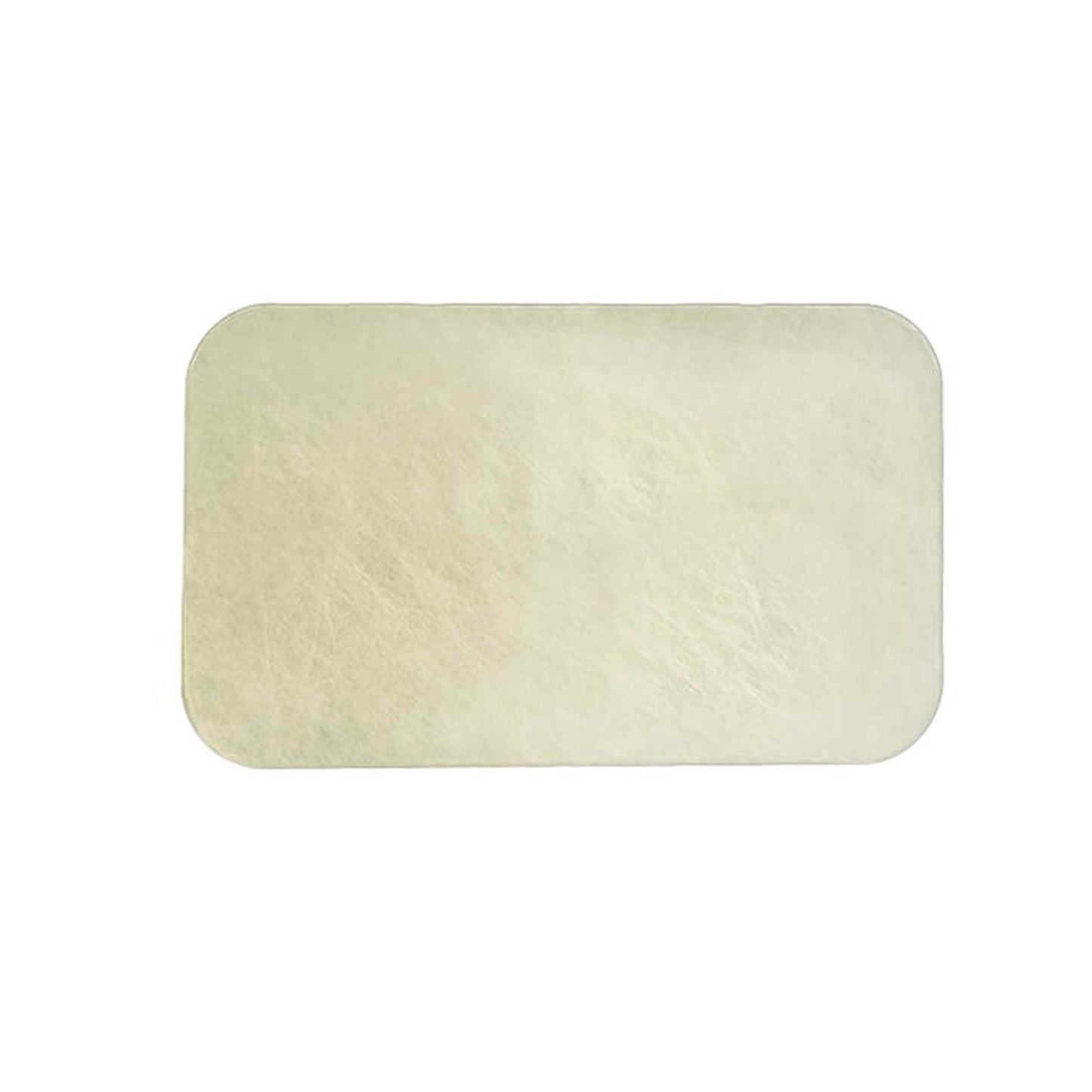 dpl® Self-Adhesive Electrotherapy Electrode