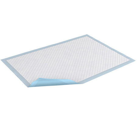 Essity 61320 TENA Underpad Large, 30 x 30 in.