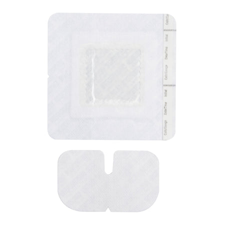 SorbaView® IV Dressing