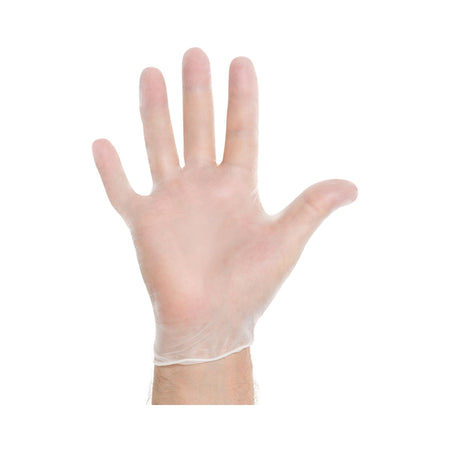 Halyard 55033 Vinyl Exam Glove, Large, Clear