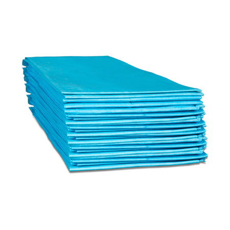 Dukal 12424 Disposable Underpad, 23 x 24 in.