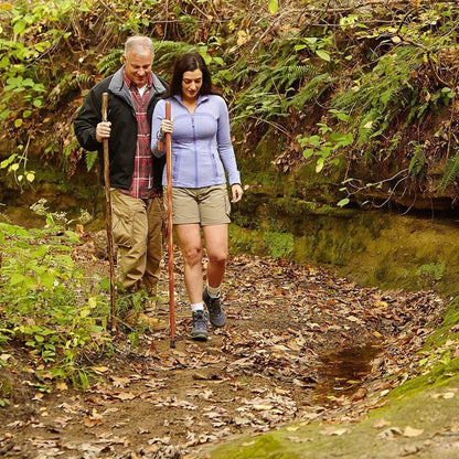 Brazos™ Free Form Safari Walking Stick, 55-Inch Height