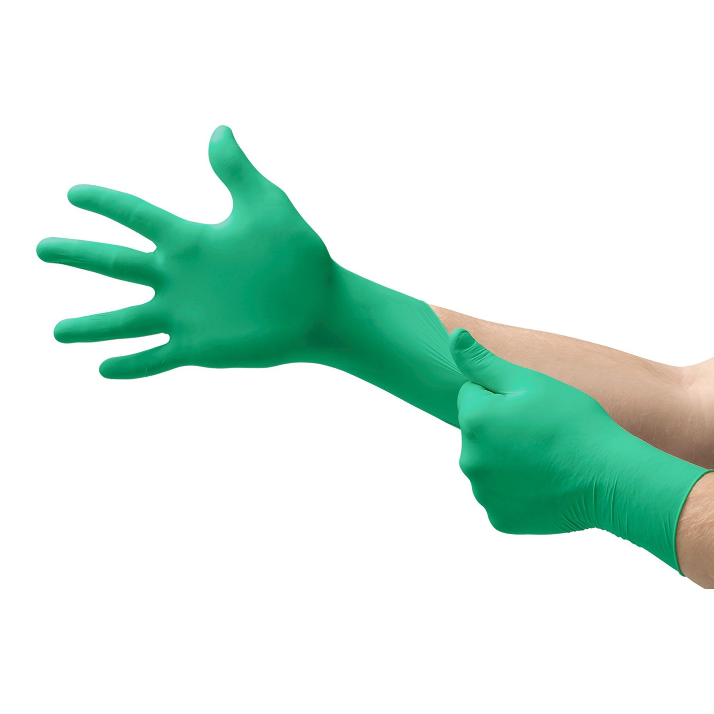 Neogard® Polychloroprene Exam Glove, Large, Green