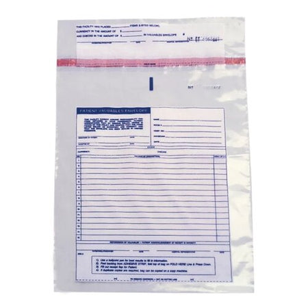 Security Bag, Patient Belonging, +2 lip, 10" x 13", 500/Case, ITPLPBSE100