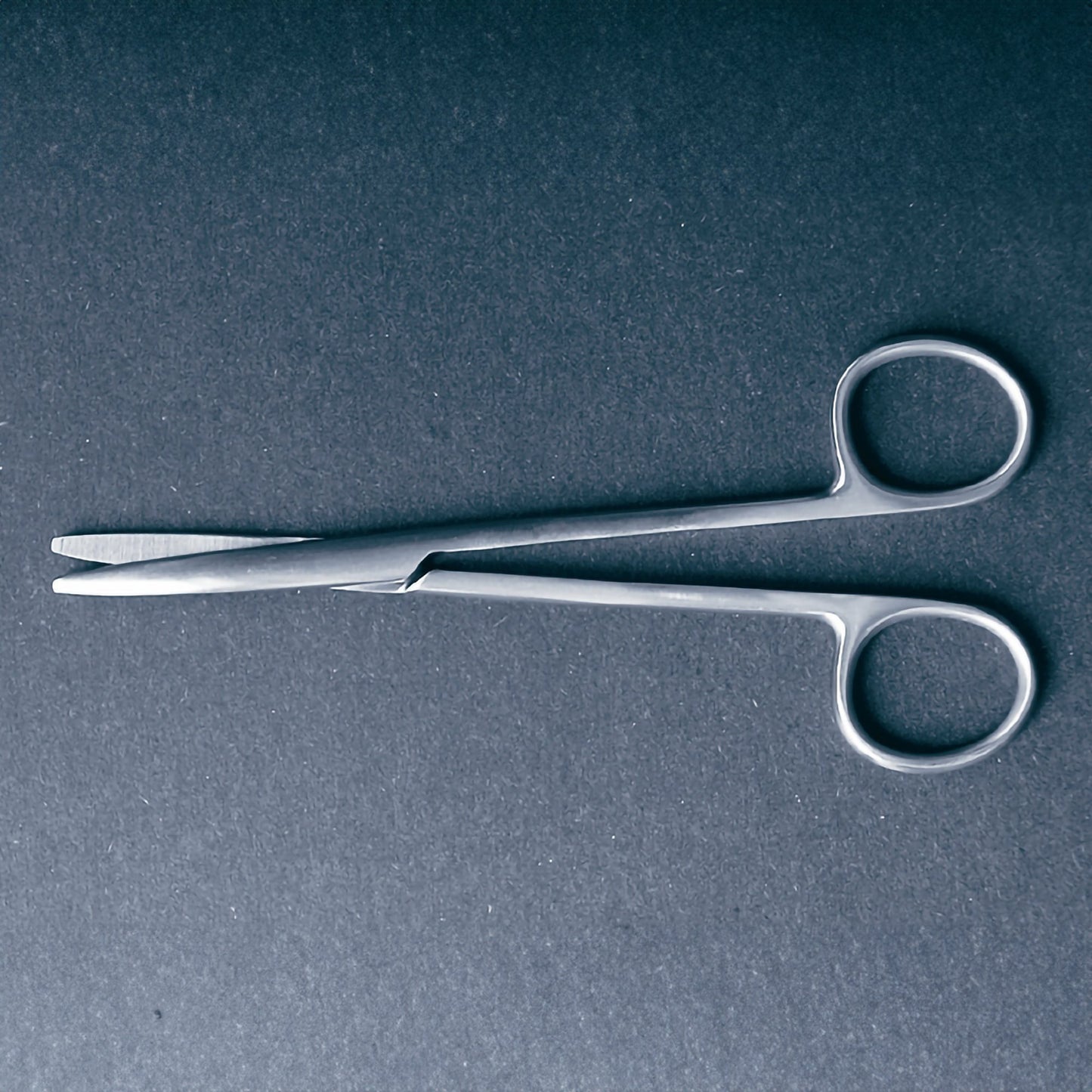 McKesson Argent™ Dissecting Scissors
