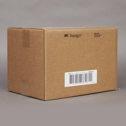 3M™ Tegaderm™ Silicone Adhesive with Border Silicone Foam Dressing, 4 x 4 Inch