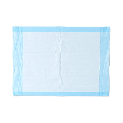 Protection Plus® Underpad, 17 X 24 Inches