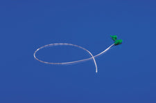 Kangaroo™ Skin Level Gastrostomy Tube, 14 Fr., 1.7 cm Tube