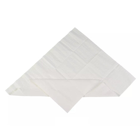 Cardinal AT31019B Sterilization Tray Liner, 19-1/2 x 23 Inch