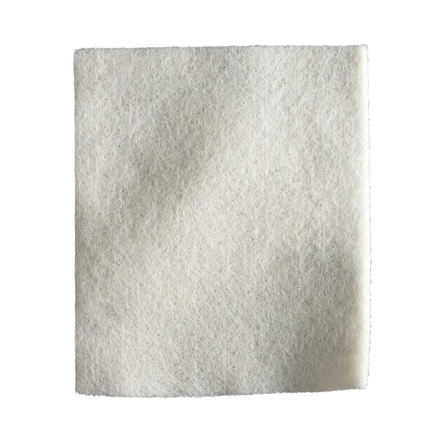 Maxorb® Extra Calcium Alginate Dressing, 4 x 4 Inch