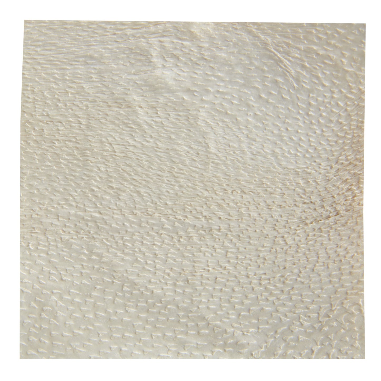 Silver Collagen Dressing with ECM Endoform® Antimicrobial 2 X 2 Inch Square Sterile