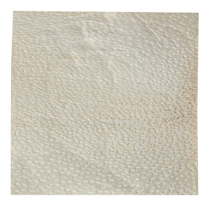 Silver Collagen Dressing with ECM Endoform® Antimicrobial 2 X 2 Inch Square Sterile