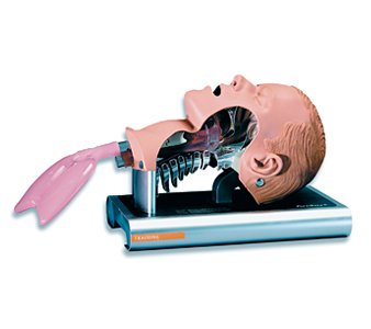 Ambu® Airway Management Trainer
