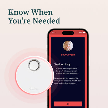 Baby Monitoring System Owlet® Dream Duo Mint