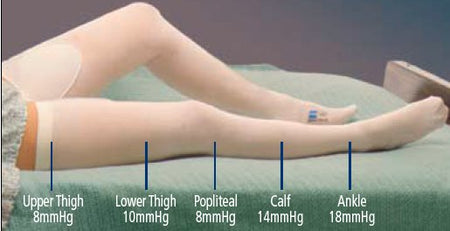 Cardinal 7473LF T.E.D. Anti-embolism Stockings, 3X-Large / Long