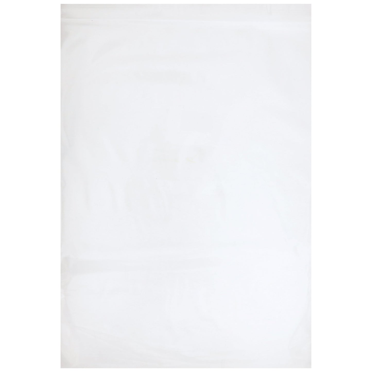 McKesson Zip Closure Bag, 9 X 12 Inches
