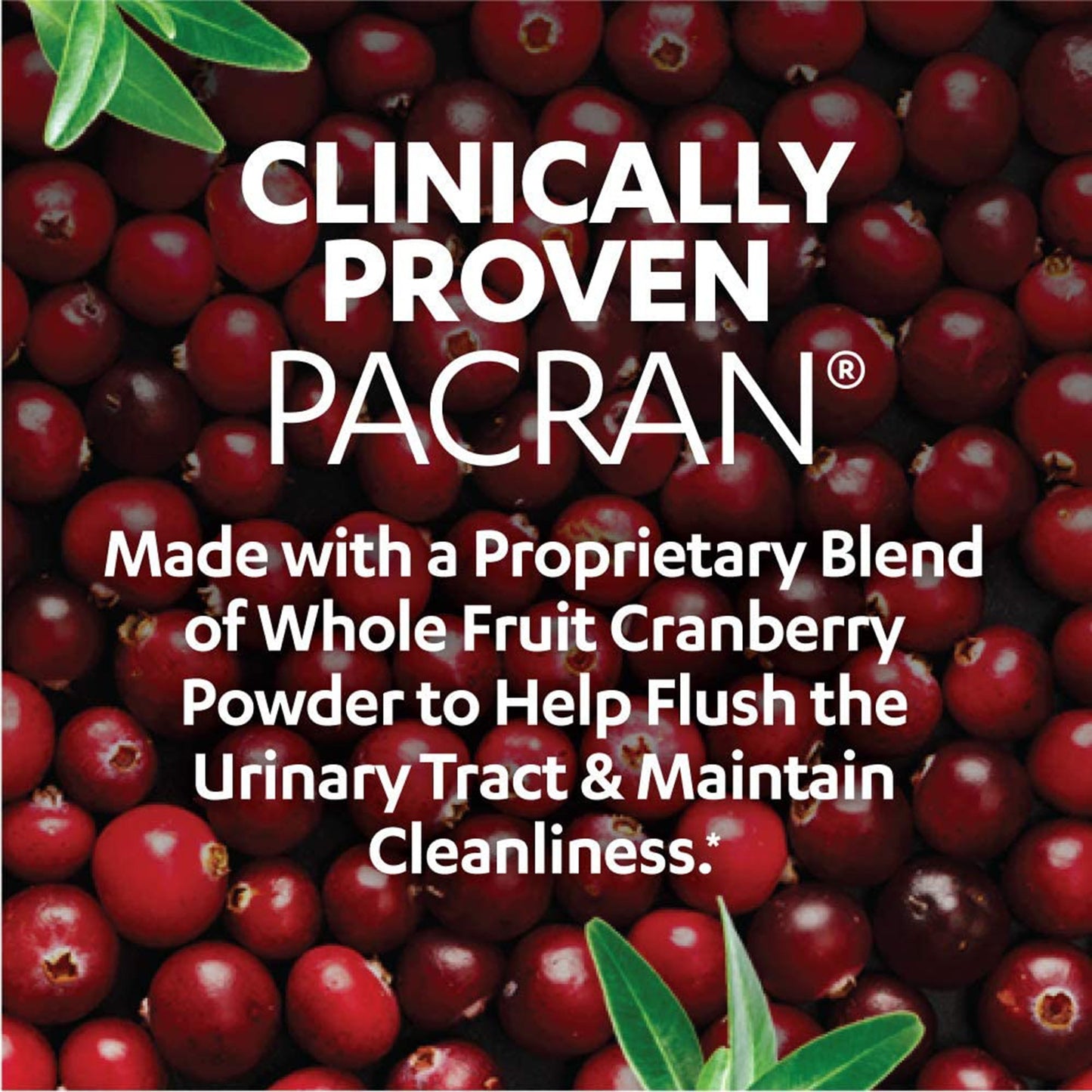 AZO Cranberry® Urinary Tract Health Softgels