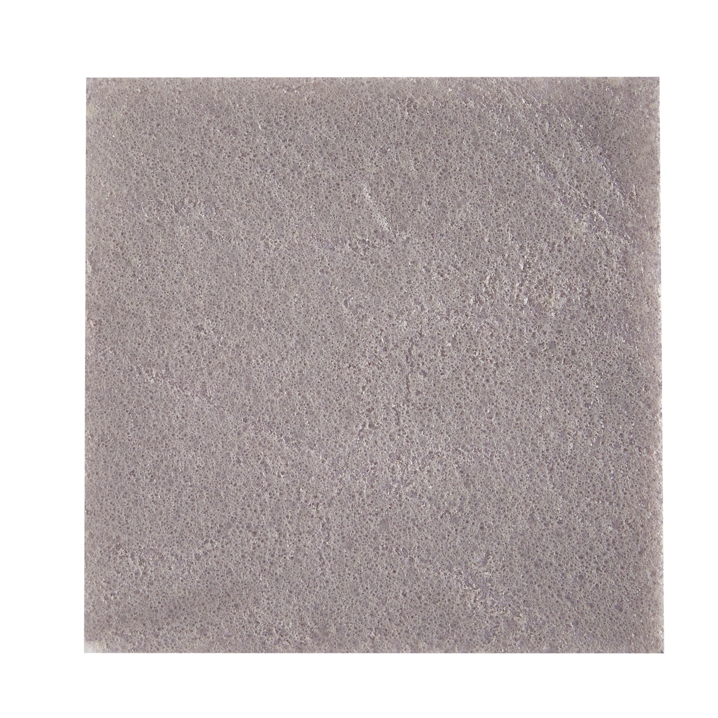 Dermarite DermaCol/Ag™ 00503E Silver Collagen Dressing, 4 x 4 Inch