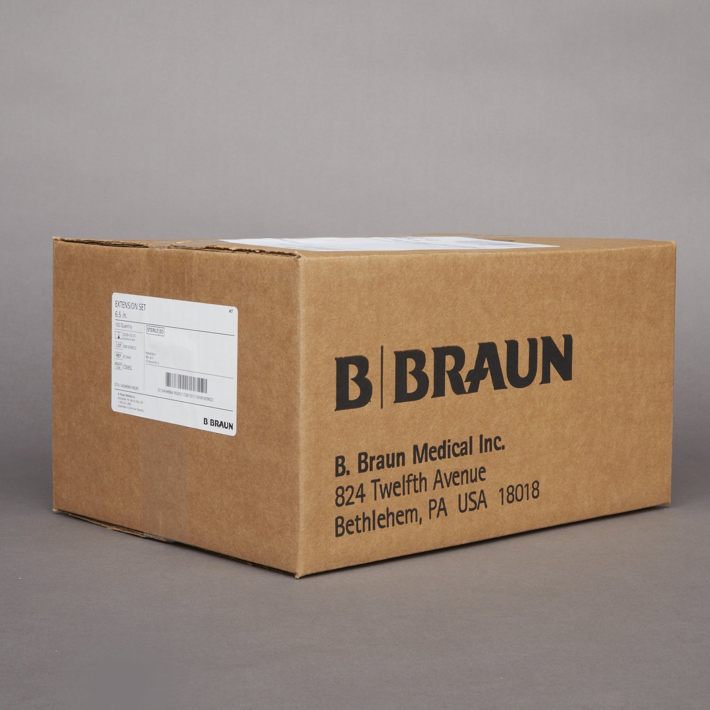 B. Braun Standard Bore Extension Set