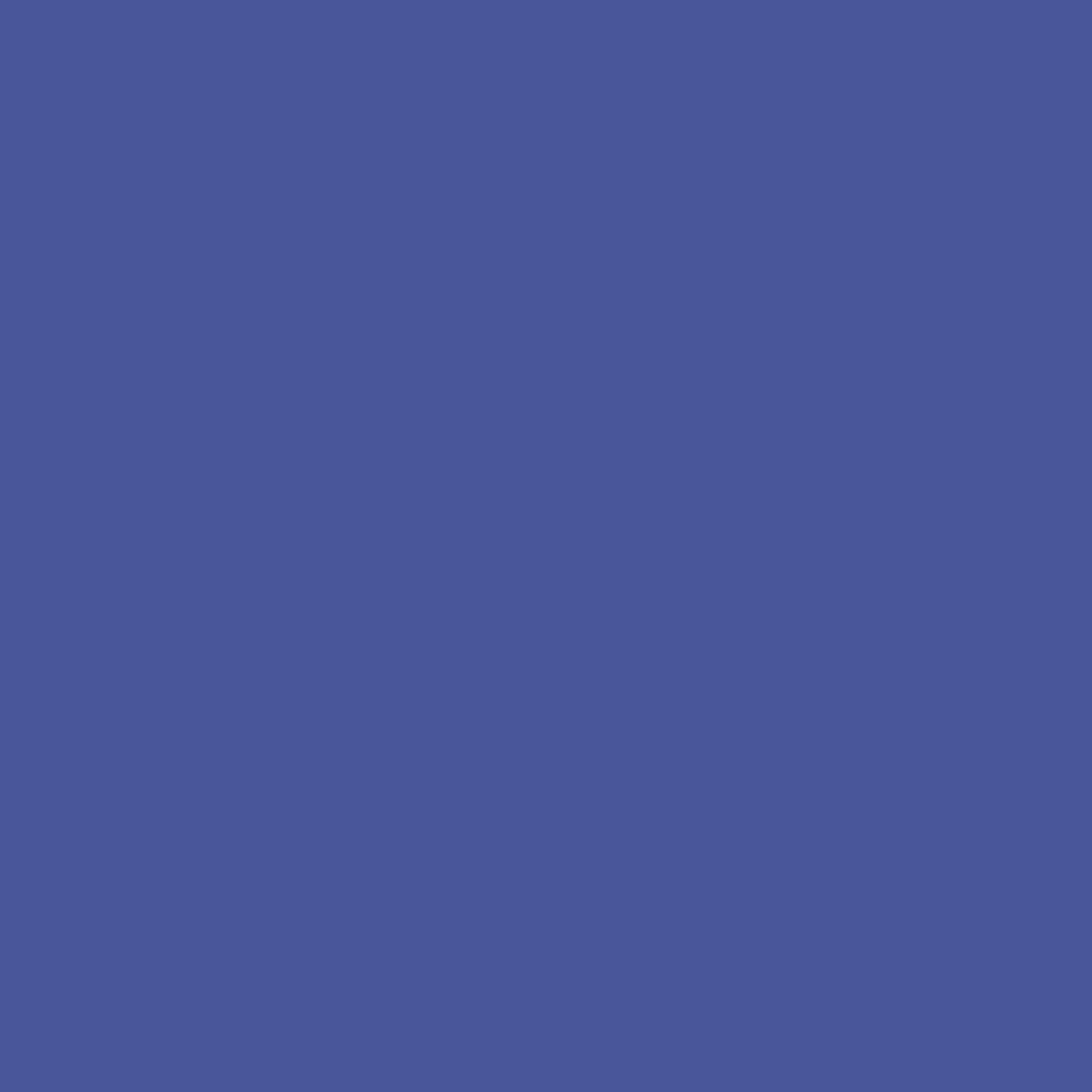 McKesson Lumeon Sprague Rappaport Stethoscope Double Lumen, Dark Blue