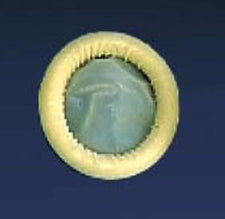 Ultra Cover™ Ultrasound Probe Cover