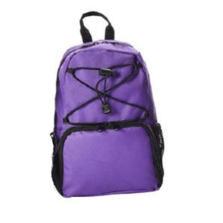 Cardinal 770035S Feeding Pump Backpack Kangaroo Purple, Small