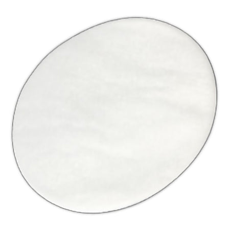 Sunset Healthcare CF1003-2 CPAP Filter RemStar Ultrafine Disposable 2 per Pack White No Tab